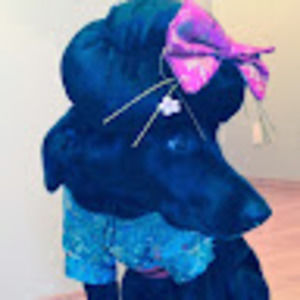 Meet your Posher, Alannah